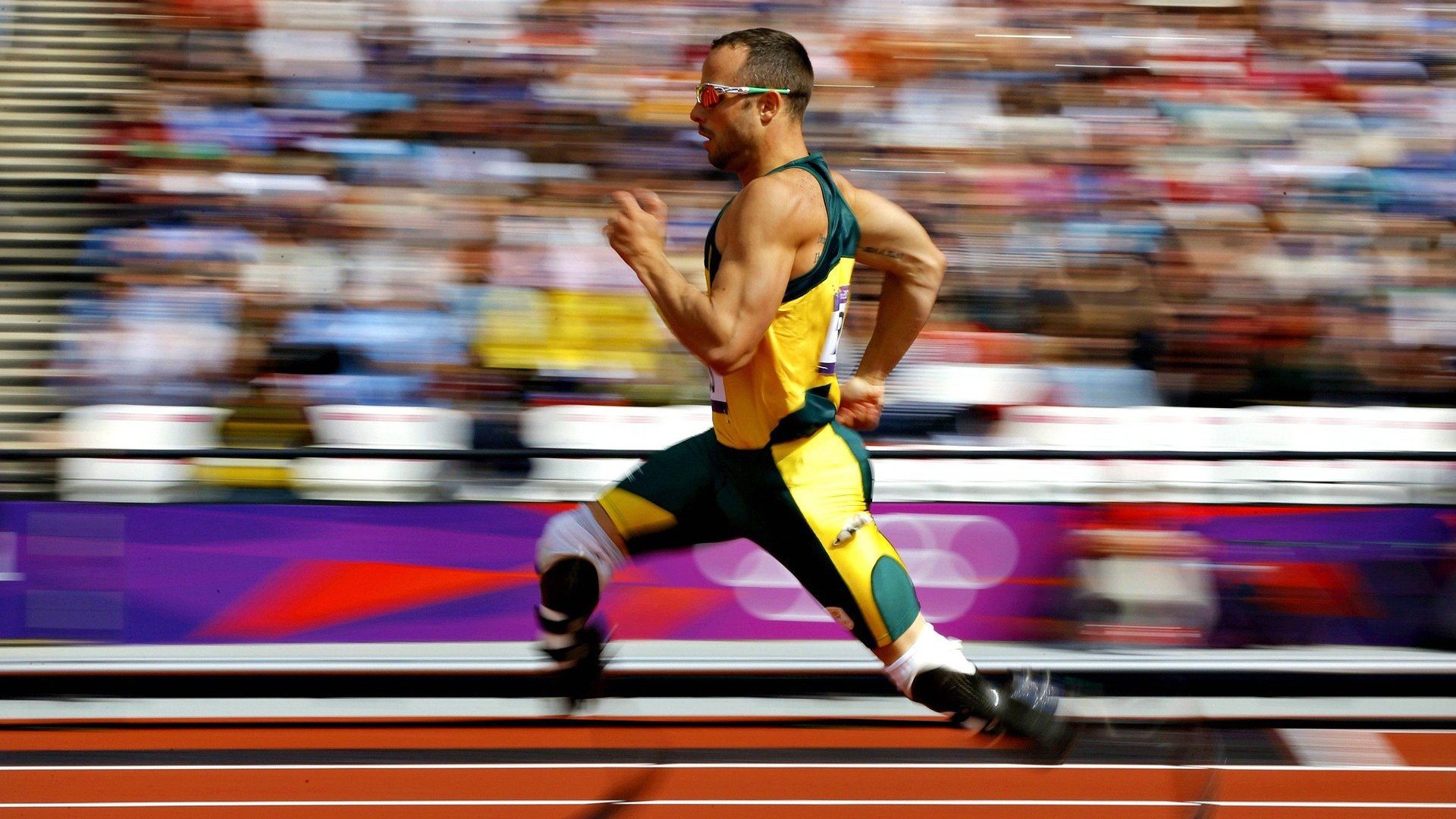 体育新闻中心主导高校体育新媒体项目孵化机制,体育系新闻