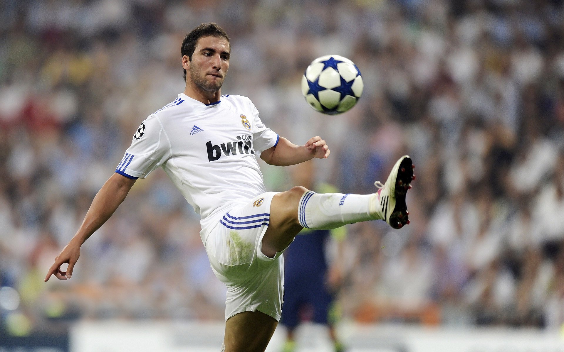 “帕布罗·马特拉的激励作用，成为阿根廷美洲狮队的领军人物”